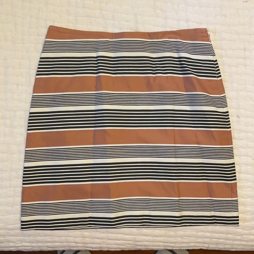 Ann Taylor Loft skirt